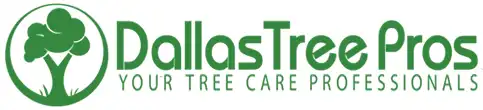 Tree Service Dallas, Texas